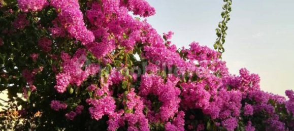 5 bedrooms House in Castelfidardo, Italy No. 143114 18