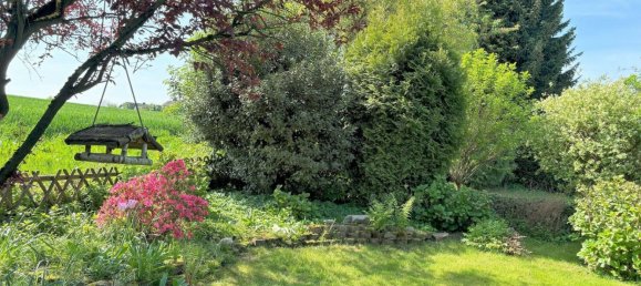 6 rooms Townhouse in Mettmann, Germany No. 176661 19