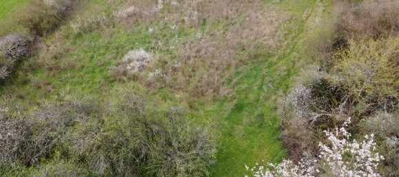 Terrain à Bad Kissingen, Germany No. 311920 2