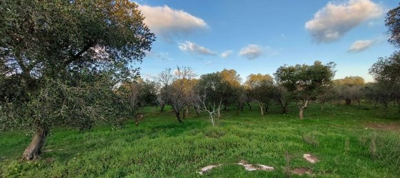 Terreno de 1 divisão em Ostuni, Italy N.º 178736 3