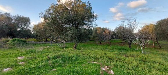 Terreno de 1 divisão em Ostuni, Italy N.º 178736 4
