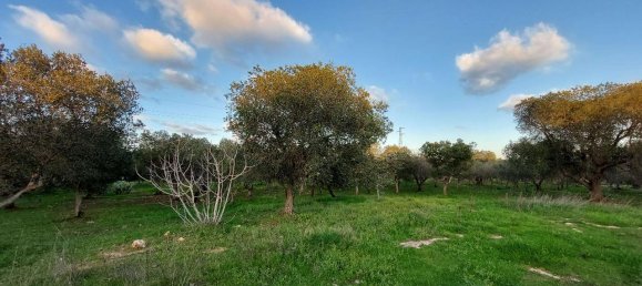 Terreno de 1 divisão em Ostuni, Italy N.º 178736 6