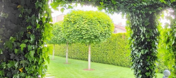 4 rooms Townhouse in Linz, Austria No. 221375 2