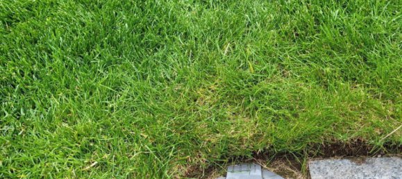 4 rooms Townhouse in Linz, Austria No. 221375 28