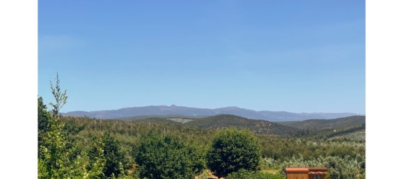 266m² Land in Mortagua, Portugal No. 49278 2