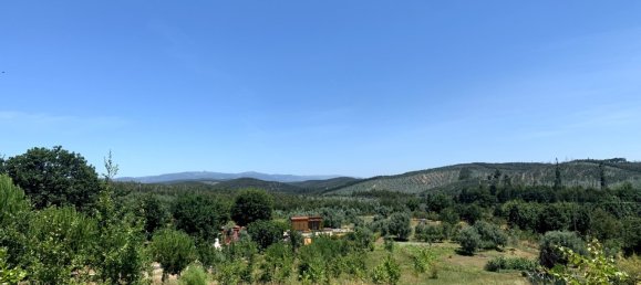 266m² Land in Mortagua, Portugal No. 49278 5