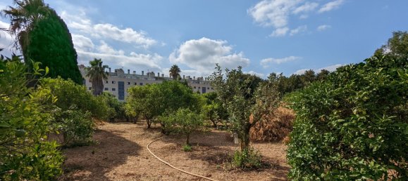  Land in Denia, Spain No. 8503 7