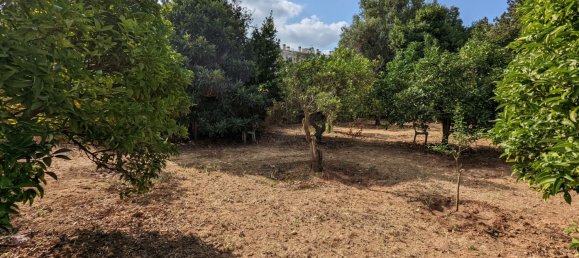  Land in Denia, Spain No. 8503 5
