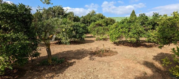  Land in Denia, Spain No. 8503 6