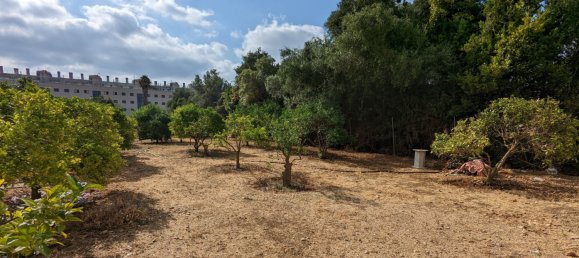  Land in Denia, Spain No. 8503 10