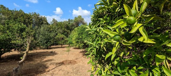  Land in Denia, Spain No. 8503 8