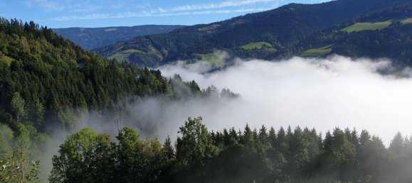 4 rooms House in Stanz im Murztal, Austria No. 65078 34