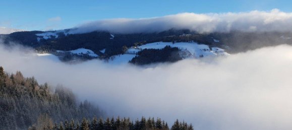 4 rooms House in Stanz im Murztal, Austria No. 65078 33