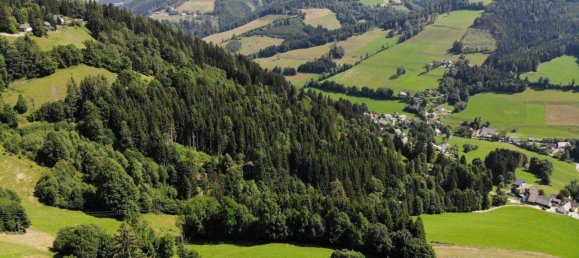 4 rooms House in Stanz im Murztal, Austria No. 65078 39