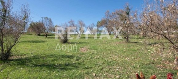 620m² terrain à vendre à Magnesia, Thessaly, Thessaly and Central Greece, Greece № 756 10