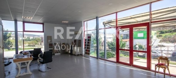 620m² terrain à vendre à Magnesia, Thessaly, Thessaly and Central Greece, Greece № 756 14