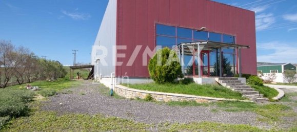 620m² Hotel in Magnesia, Greece No. 756 5