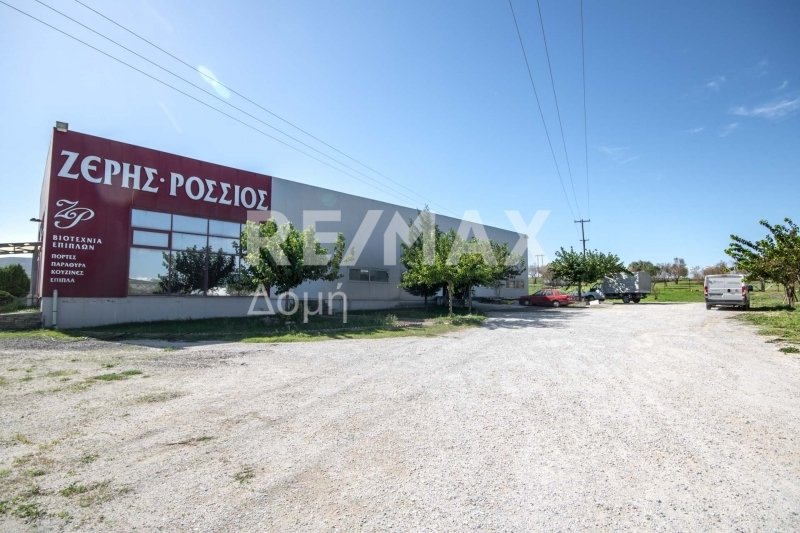620m² terrain à vendre à Magnesia, Thessaly, Thessaly and Central Greece, Greece № 756