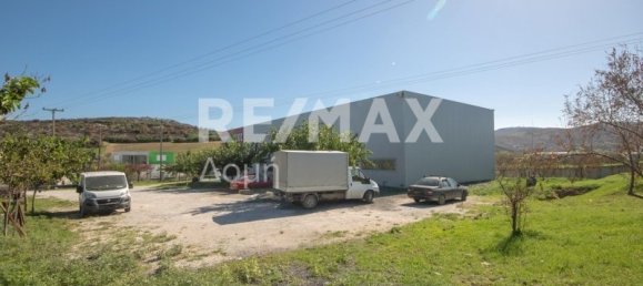 620m² terrain à vendre à Magnesia, Thessaly, Thessaly and Central Greece, Greece № 756 8