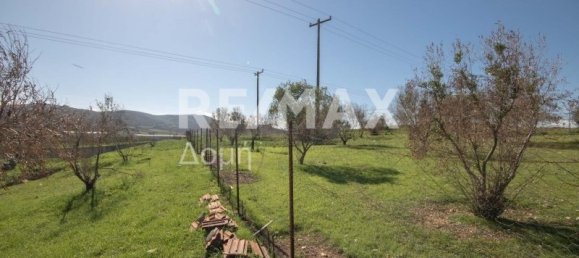 620m² terrain à vendre à Magnesia, Thessaly, Thessaly and Central Greece, Greece № 756 9