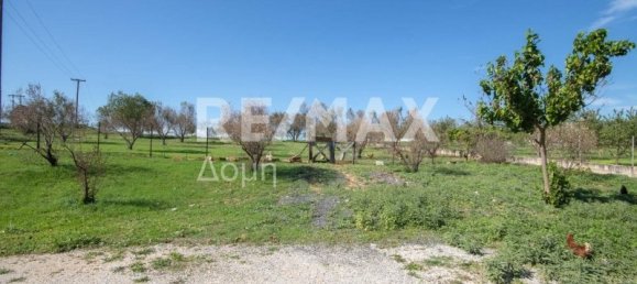620m² terrain à vendre à Magnesia, Thessaly, Thessaly and Central Greece, Greece № 756 11