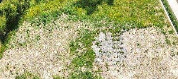 Terreno en Graz, Austria No. 198526 7