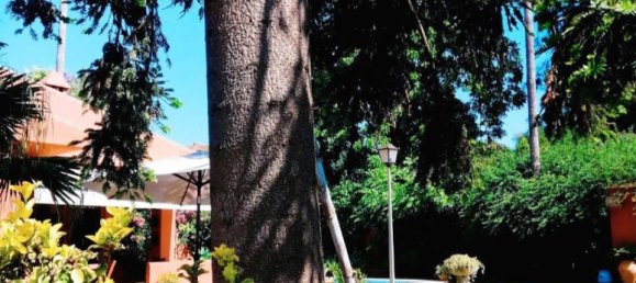 4 Schlafzimmer Haus in Cadiz, Spain, Nr. 178748 23