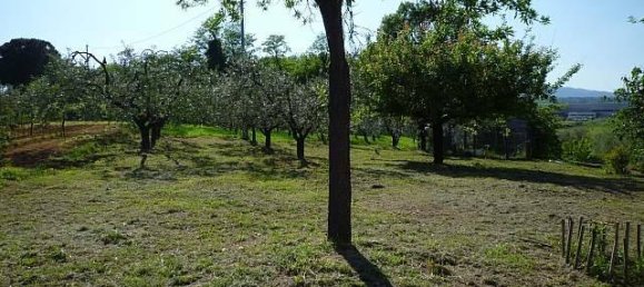 3 غرف نوم فيلا في Montopoli in Val d'Arno, Italy رقم 141007 16