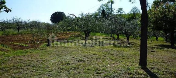 3 غرف نوم فيلا في Montopoli in Val d'Arno, Italy رقم 141007 18