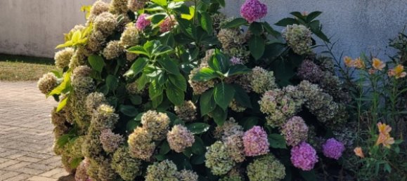 Moradia em banda T4 em Le Chatelet, France N.º 221622 3