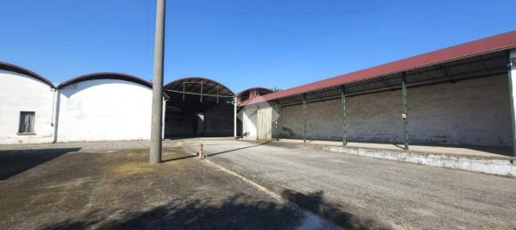 2 Schlafzimmer Haus in San Martino dall'Argine, Italy, Nr. 271581 16