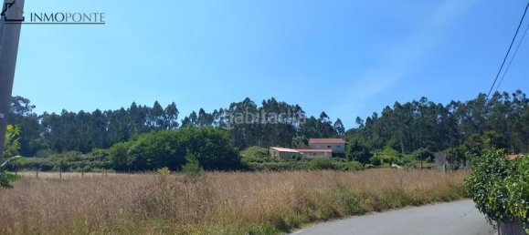 Grundstück in Meis, Spain 2779m², Nr. 169676 18