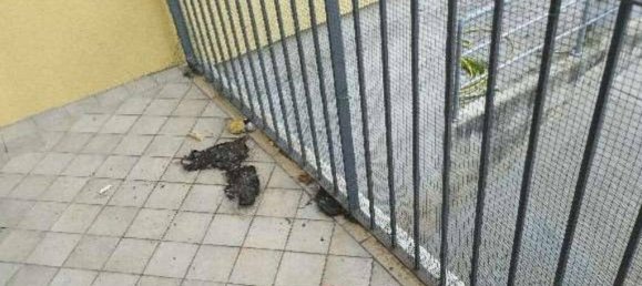 2 bedrooms Apartment in Varese, Italy No. 283479 28