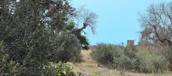 Grundstück in Matino, Italy 1000m², Nr. 232728 2