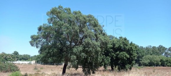 4 bedrooms House in Setubal, Portugal No. 142839 34