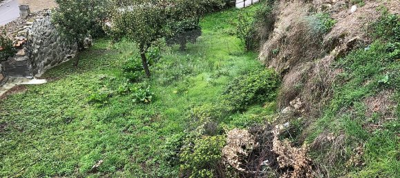 Casa de 4 dormitorios en Aveloso, Portugal No. 30463 22