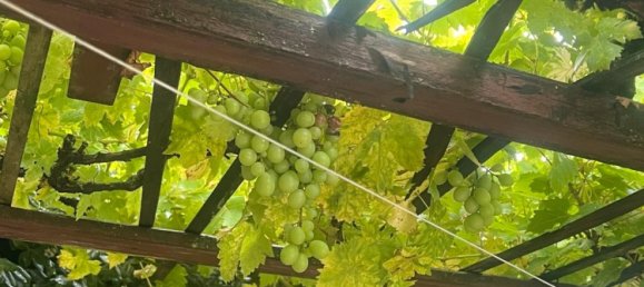  قطعة أرض في Harburg, Germany رقم 234576 2