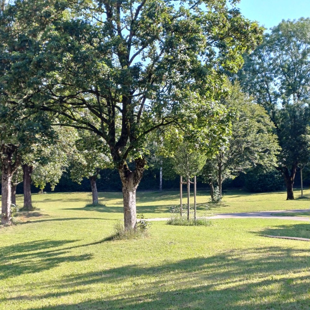 2 Schlafzimmer Wohnung in München, Germany, Nr. 181200