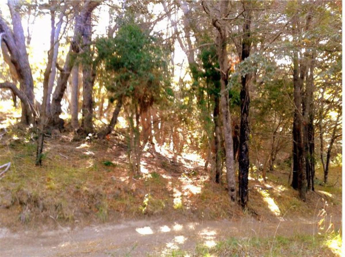  Land in San Carlos de Bariloche, Argentina No. 38596