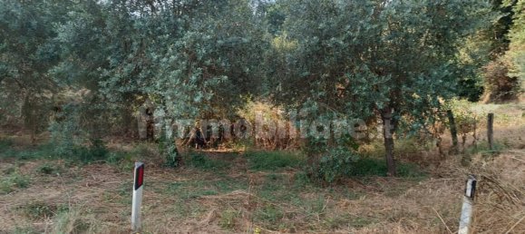 Terrain à Rome, Italy 4725m² No. 279343 16