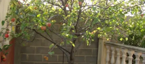 4 bedrooms House in Zamora, Spain No. 151384 16