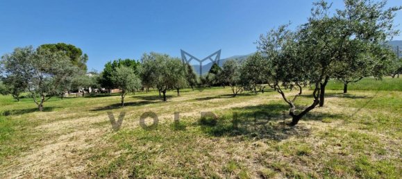 6 rooms House in Spello, Italy No. 76288 17