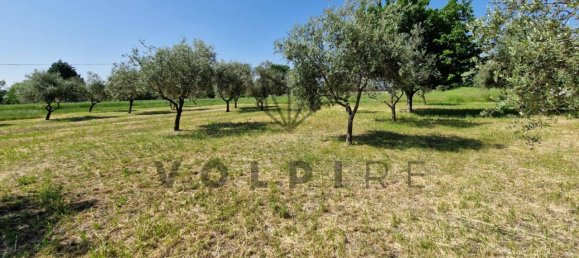 6 rooms House in Spello, Italy No. 76288 16