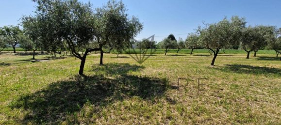 6 rooms House in Spello, Italy No. 76288 15