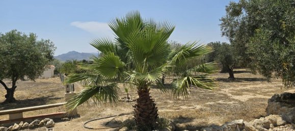 Дом с 4 спальнями в Сакс, Испания № 157747 19