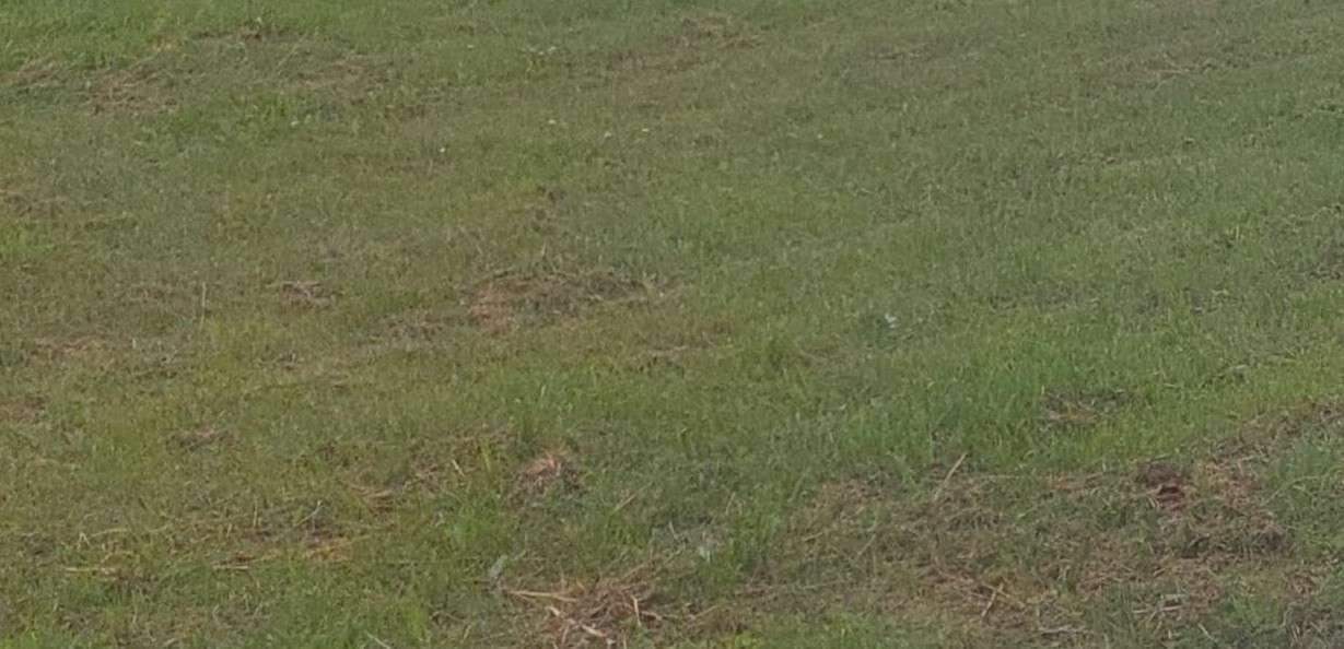 Grundstück in Bergstraße, Germany, Nr. 151797