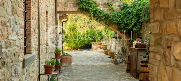 7 bedrooms House in Cortona, Italy No. 118821 4