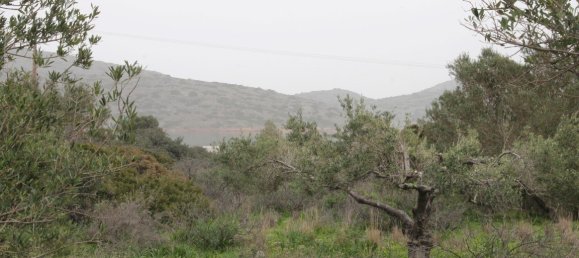 Hotel in Agios Nikolaos, Greece 11488m², Nr. 5200 11