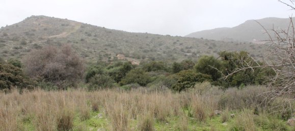 Hotel in Agios Nikolaos, Greece 11488m², Nr. 5200 2