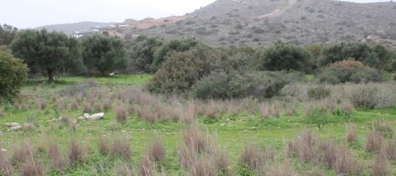 Hotel in Agios Nikolaos, Greece 11488m², Nr. 5200 5